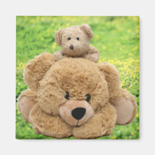 Kute Teddy bears in een weide Magneet