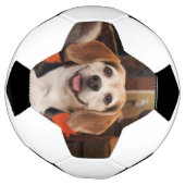 Kute uw eigen foto van Pet Moderne Douane Voetbal (Gedraaid)