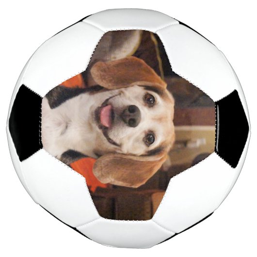 Kute uw eigen foto van Pet Moderne Douane Voetbal (Gedraaid)