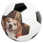 Kute uw eigen foto van Pet Moderne Douane Voetbal (Drie kwart)