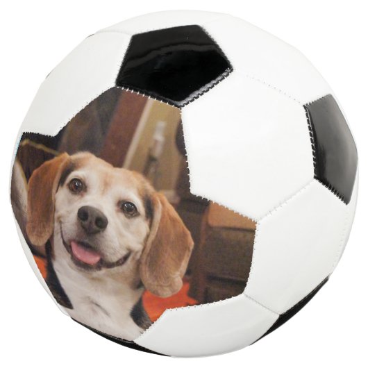 Kute uw eigen foto van Pet Moderne Douane Voetbal (Drie kwart)