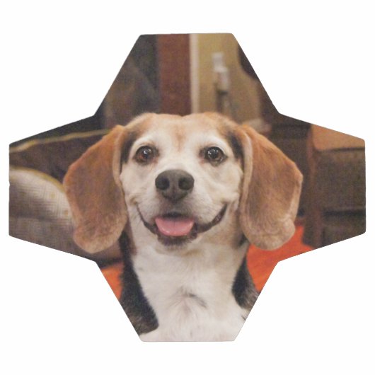 Kute uw eigen foto van Pet Moderne Douane Voetbal (Enkel)