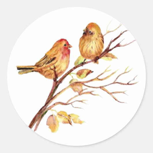 Kute Waterverf Bird Couple on Tree Branch art Ronde Sticker (Voorkant)
