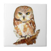 Kute Waterverf Saw Whet Owl, Bird, Animal Tegeltje (Voorkant)