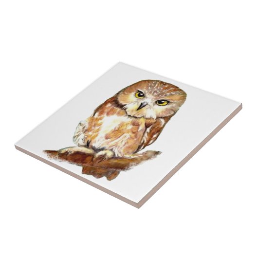 Kute Waterverf Saw Whet Owl, Bird, Animal Tegeltje (Zijkant)