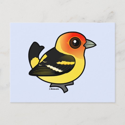 Kute Westerne Tanager Briefkaart (Voorkant)