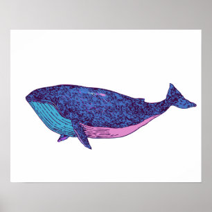 Kute Whale Art Tekening in Ocean Blue Poster