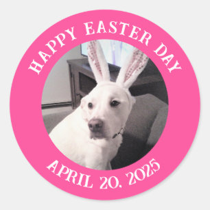 Kute White Dog Wearing Easter Bunny Ears Pink Ronde Sticker
