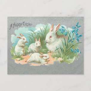 Kute White Easter Bunnies Feestdagenkaart