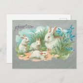 Kute  White Easter Bunnies Feestdagenkaart (Voorkant / Achterkant)