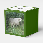 Kute White Fluffy Sheep Eating Custom Favor Box Bedankdoosjes (Voorkant Zijde)