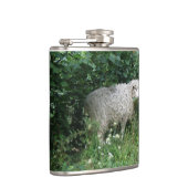 Kute White Fluffy Sheep Eating Flask Heupfles (Rechts)
