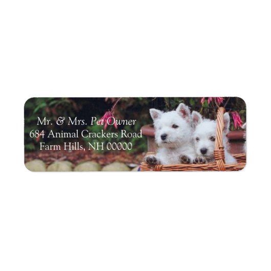 Kute White Puppies Return Address Mailing Stickers (Voorkant)
