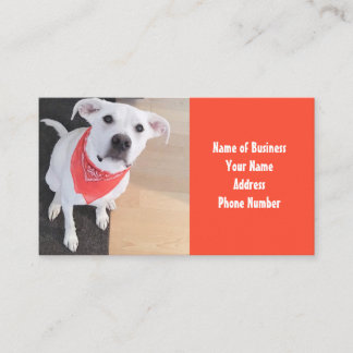 Kute White Puppy Dog Wearing Scarf Sinaasappel Visitekaartje