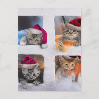Kute X-mas kittens in ramen Briefkaart