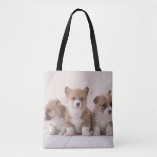 Kutest Baby Animals 3 Baby Corgis Draagtas