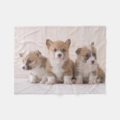 Kutest Baby Animals | 3 Baby Corgis Fleece Deken (Voorkant (Horizontaal))