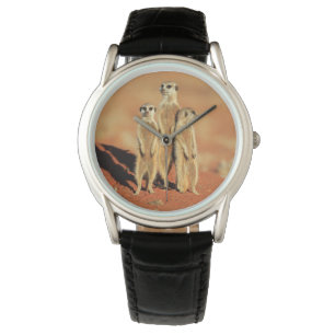 Kutest Baby Animals   3 Meerkat Horloge