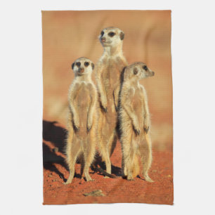 Kutest Baby Animals   3 Meerkat Theedoek