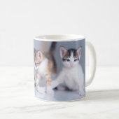 Kutest Baby Animals | 3 Tabby Kittens Koffiemok (Voorkant rechts)