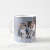 Kutest Baby Animals | 3 Tabby Kittens Koffiemok (Voorkant links)