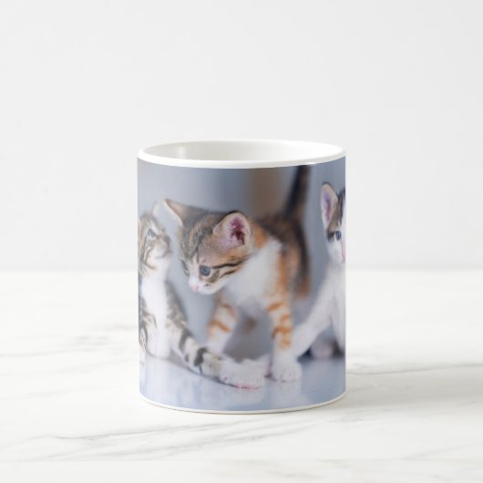 Kutest Baby Animals | 3 Tabby Kittens Koffiemok (Center)