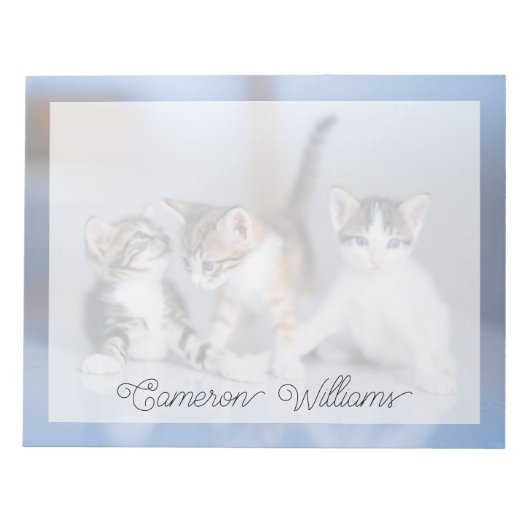 Kutest Baby Animals | 3 Tabby Kittens Notitieblok (Voorkant)