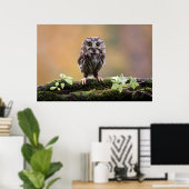 Kutest Baby Animals | A Baby Owl Poster (Thuiskantoor)