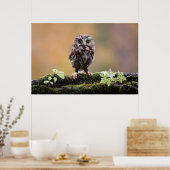 Kutest Baby Animals | A Baby Owl Poster (Keuken)