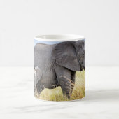 Kutest Baby Animals | Afrikaanse olifant en moeder Koffiemok (Center)