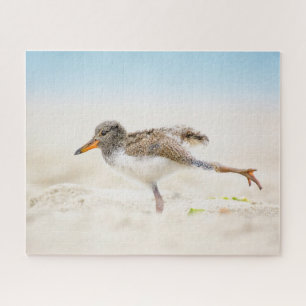 Kutest Baby Animals Amerikaanse Oystercatcher Ch Legpuzzel