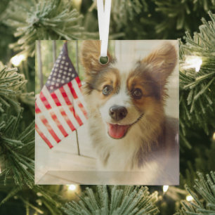 Kutest Baby Animals   Amerikaanse vlag Corgi Glas Ornament