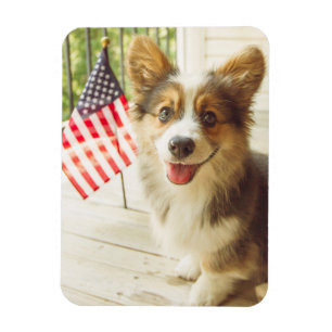 Kutest Baby Animals Amerikaanse vlag Corgi Magneet