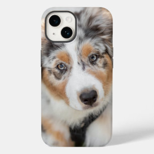 Kutest Baby Animals   Australische schapenhouderij Case-Mate iPhone 14 Hoesje