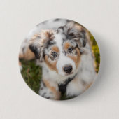 Kutest Baby Animals | Australische schapenhouderij Ronde Button 5,7 Cm (Voorkant)