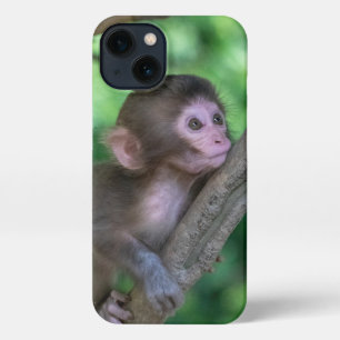 Kutest Baby Animals   Baby aap iPhone 13 Hoesje
