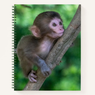 Kutest Baby Animals   Baby aap Notitieboek