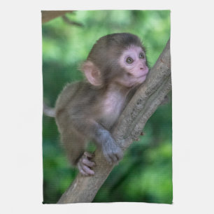 Kutest Baby Animals Baby aap Theedoek
