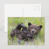 Kutest Baby Animals | Baby Bruine Beer Cub Briefkaart (Voorkant / Achterkant)