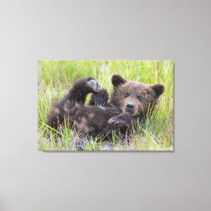 Kutest Baby Animals   Baby Bruine Beer Cub Canvas Afdruk