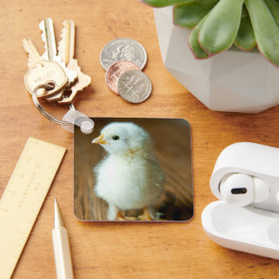 Kutest Baby Animals   Baby Chick Sleutelhanger