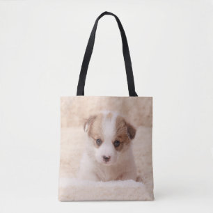Kutest Baby Animals Baby Corgi Draagtas
