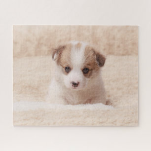Kutest Baby Animals Baby Corgi Legpuzzel