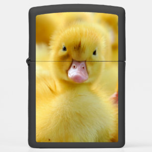 Kutest Baby Animals Baby Duck-groep