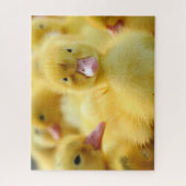 Kutest Baby Animals | Baby Duck-groep Legpuzzel (Verticaal)