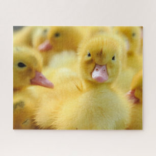 Kutest Baby Animals   Baby Duck-groep Legpuzzel
