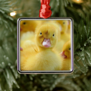 Kutest Baby Animals   Baby Duck-groep Metalen Ornament
