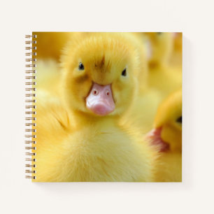 Kutest Baby Animals   Baby Duck-groep Notitieboek