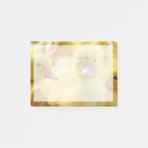 Kutest Baby Animals   Baby Duck-groep Post-it® Notes