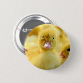 Kutest Baby Animals | Baby Duck-groep Ronde Button 5,7 Cm (Voorkant /achterkant)